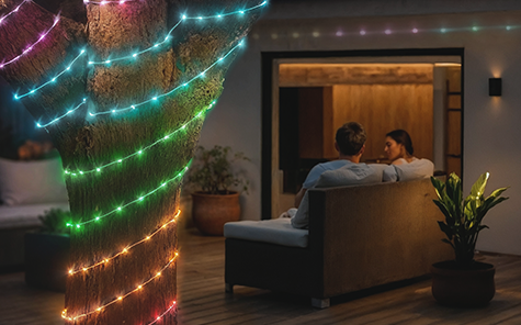 A colourful string of lights is wrapped around a tree in the garden.